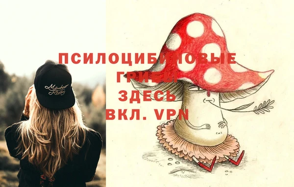соль ск Алексеевка