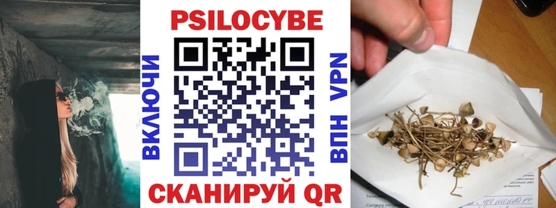 Галлюциногенные грибы Psilocybine cubensis  магазин продажи наркотиков  Курлово 